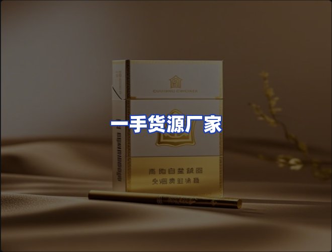 专业团队